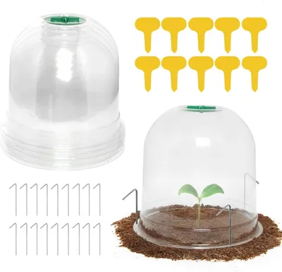 Obrázek produktu pro 6 kusů plastových mini-skleníků pro pěstování rostlin, rozměry 26 cm x 20 cm, opakovaně použitelné