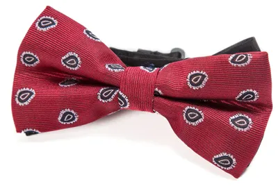 Produktbild von DonDon Edle paisley gepunktete rote Fliege bzw. Schleife mit Haken - bereits gebunden und verstellbar