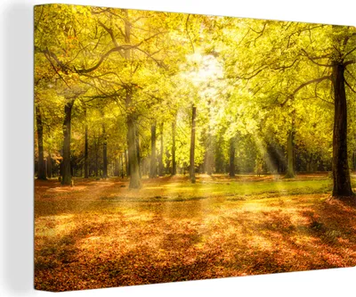 Produktbild von OneMillionCanvasses® - Leinwandbilder - 150x100 cm, Baum - Natur - Sonne - Landschaft - Wald, Wandbilder Kunstdruck Wanddekoration - Foto auf Leinwand - Gemälde auf Holzrahmen