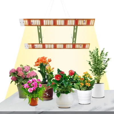 Immagine prodotto di Lampada LED a spettro completo da 312 LED e 80 W per piante da appartamento