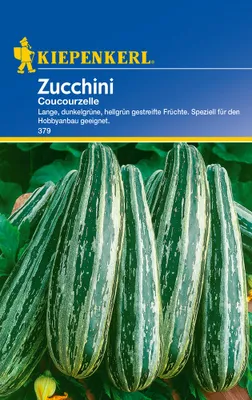 Immagine prodotto di Zucchine Coucourzelle | Semi di zucchine di Kiepenkerl