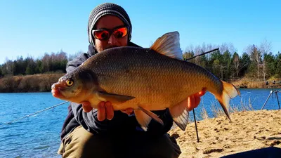 Obrázek produktu pro Method/Feeder Fluo Pop-Up Micro Boilies 8mm/20g / Flavour Mix Fruit 3 pcs