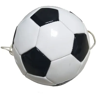 Immagine prodotto di SportX Voetbaltrainer 140 gr + Koord 150 cm