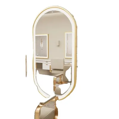 Produktbild von Badezimmerspiegel, modernes ovales Design, frontbeleuchtete Beleuchtung, 48x24 Zoll
