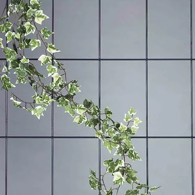 Produktbild von SIENA GARDEN Spalier
