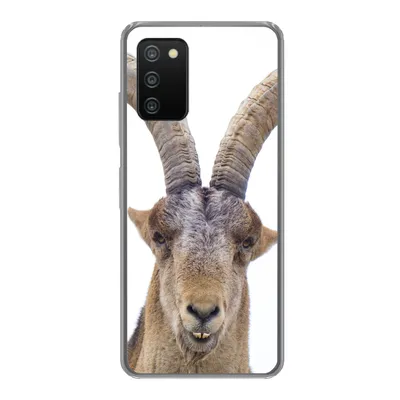 Produktbild von MuchoWow® Handyhülle Schutzhülle Hülle für Samsung Galaxy A03s Steinbock - Tiere - Hoorn Silikon Softcase Handy Hülle - Schutz