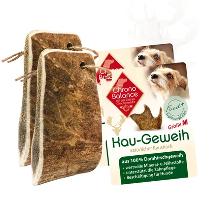 Produktbild von ChronoBalance Kaugeweih Damhirsch (M) 2er Paket
