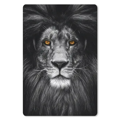 Produktbild von MuchoWow® Mauspad Mousepad Wildtiere - Porträt - Farbe 18x27 cm - Mousepads - Maus Mat - Pad - Mausunterlage