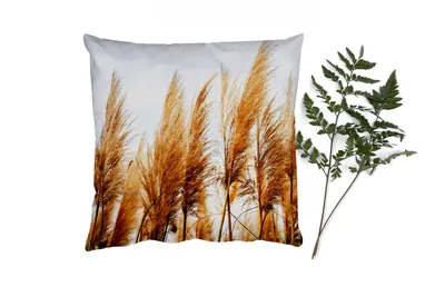 Produktbild von MuchoWow® Zierkissen Sofakissen Wohnzimmer Dekokissen 50x50 cm Pampasgras - Sonne - Gras - Komfort - Sofakissen