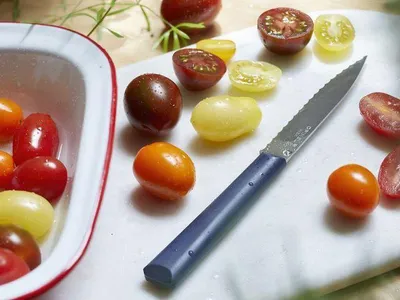 Image de Couteau Office Cranté Opinel N°313 Lame Crantée Polyvalente En Inox - Opinel