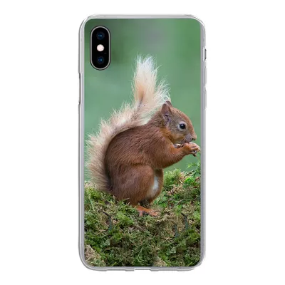 Produktbild von MuchoWow® Handyhülle Schutzhülle Hülle für iPhone Xs Waldtier - Eichhörnchen - Moos Silikon Softcase Handy Hülle - Handytasche