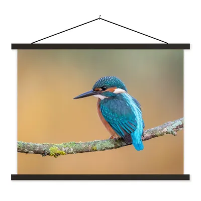 Produktbild von MuchoWow® Textilposter Vogel - Eisvogel - Tiere - Zweig 40x30 cm mit schwarzem Rahmen - Dekorationen