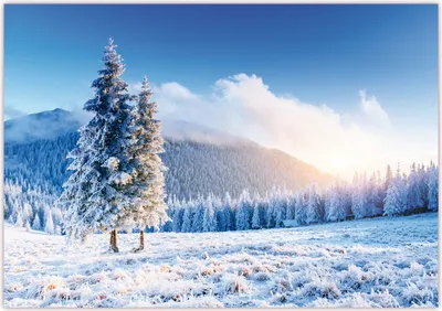 Produktbild von XXL Poster 100 x 70cm (S-824) Tiefverschneite Winterlandschaft mit schneebedeckten Bäumen unter blauem Himmel (Lieferung gerollt!)