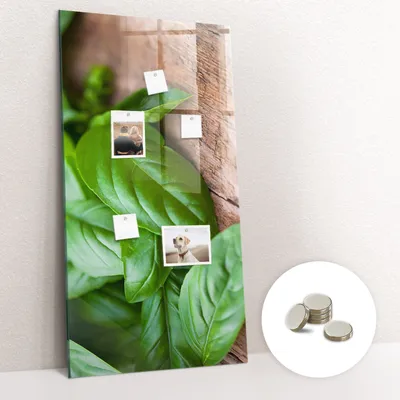 Obrázok produktu pre Magnetická tabuľa na stenu - Memo Tabuľa Sklenená - vrátane 5 magnetov - 60x120 cm - Listy bazalky