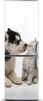 Produktbild von Tulup Kühlschrankdekoration - Magnetmatte - 60 cm x 180 cm - Magnet auf dem Kühlschrank - Hund Und Katze