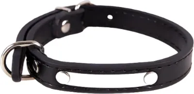 Obrázok produktu pre Obojok pre psov Luxury Winiw / Black S