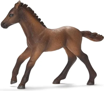 Produktbild von Schleich 13712, Braun