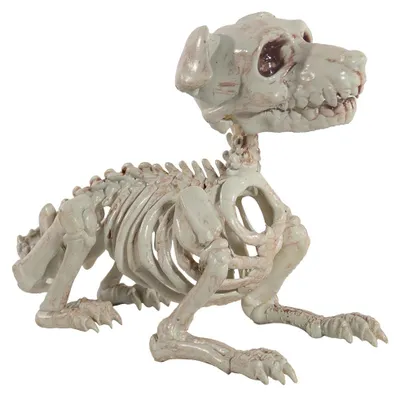 Produktbild von Schnauzer Hundeskelett als Halloween Dekoration 27 cm