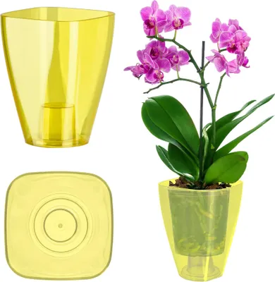 Obrázek produktu pro Květináč na orchideje – plastový květináč – velký – žlutý