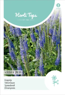Artikelbild 2 von 'Ehrenpreis Blau' aus der Kategorie Blumensamen