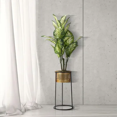 Immagine prodotto di Juayua - Vaso, oro, Portavaso Rimovibile