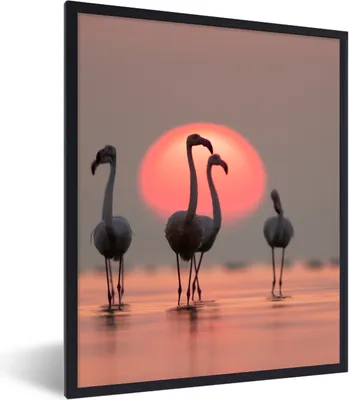 Produktbild von MuchoWow® Gerahmtes Poster Vogel - Flamingo - Sonnenuntergang - Rosa 60x80 cm - Poster mit Schwarzem Bilderrahmen Wandposter Rahmen Foto Bilder - Premium - Wanddeko Wohnzimmer