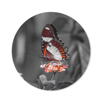 Produktbild von MuchoWow® Mauspad Mousepad Schmetterling - Tiere - Blumen - Schwarz und weiß - Orange 30x30 cm - Mousepads - Maus Mat - Pad - Mausunterlage - Tischunterlage - Schreibtischmatten