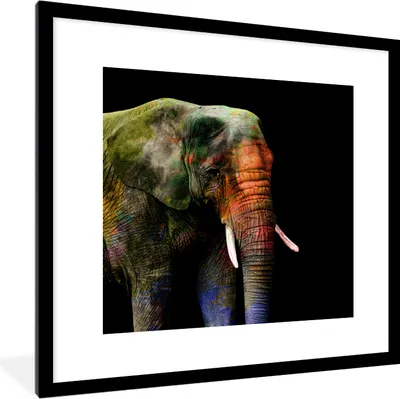 Produktbild von MuchoWow® MuchoWow® Gerahmtes Poster Elefant - Farben - Tier 40x40 cm - Poster mit zchwarzem Bilderrahmen - Poster - Plakat im Rahmen