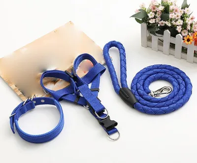 Immagine prodotto di Guinzaglio + pettorina + collare Easy Blue XL