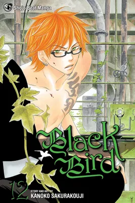 Produktbild von Black Bird, Vol. 12