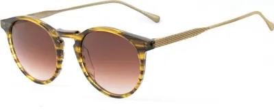 Produktbild von Belstaff Damen Sonnenbrille s031 Braun