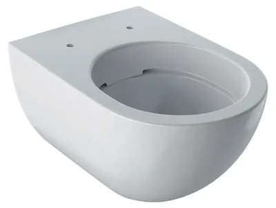Image de Geberit WC suspendu Acanto sans rinçage, 4,5 / 6 litres blanc alpin