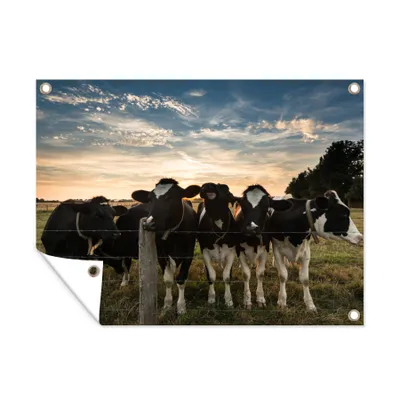 Obrázek produktu pro MuchoWow® Zahradní plakáty - Krávy - Zvířata - Farma - 120x160 cm - Zahradní dekorace