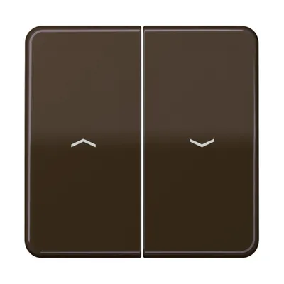 Produktbild von Jung Wippe Symbole br CD 595 P BR CD595PBR