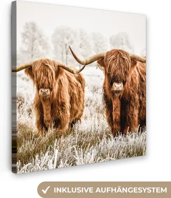 Zdjęcie produktu dla MuchoWow® - Obraz na płótnie - Szkocki góral - Krowa - Natura - Zima, fototapeta, dekoracja ścienna, obrazy do salonu, 20x20cm