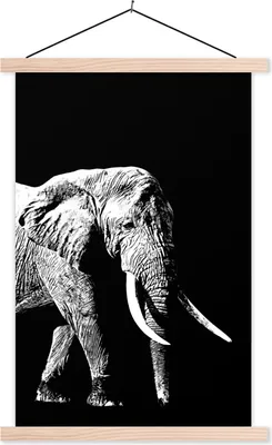 Produktbild von MuchoWow® Textilposter Elefant vor schwarzem Hintergrund - schwarz und weiß 120x180 cm mit holzfarbenen Rahmen - Textil-Plakat