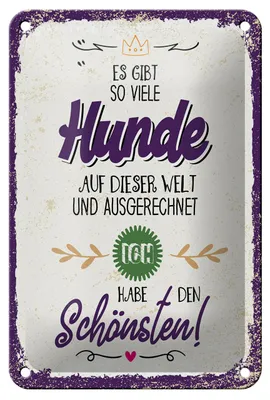 Produktbild von Blechschild Spruch 20x30 cm so viele Hunde ich habe den Schönsten Deko Schild