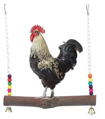 Produktbild von Hühnerschaukel mit Glocke aus Naturholz für Papageien und Hühner