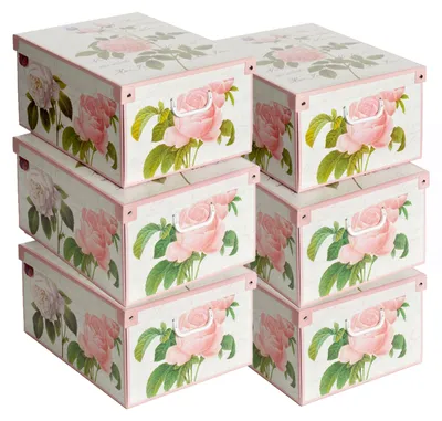 Imagen del producto de Lavatelli Set de 6 Cajas de Almacenaje con Tapa Rosas, 39 x 50 x 24 cm