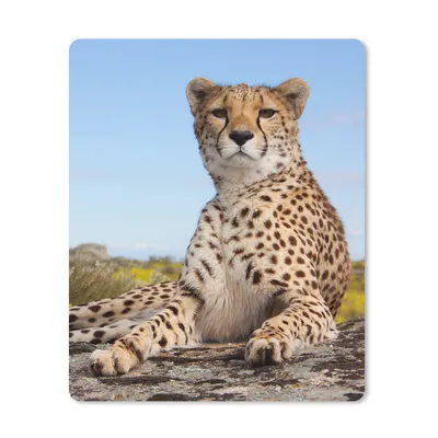 Produktbild von MuchoWow® Mauspad Mousepad Leopard - Tiere - Natur 19x23 cm - Mousepads - Maus Mat - Pad - Mausunterlage - Mauspads - Spielen