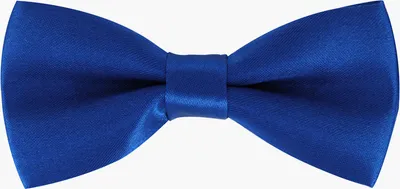 Produktbild von axy Kinderfliege, Kinder Jungen Fliege 10 x 5 cm,  bereits gebunden, verstellbar, glänzend, Seidenlook Hochzeit-Festliche Mode