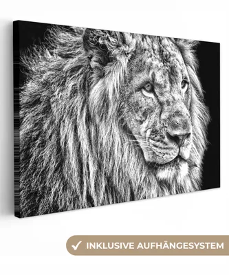 Produktbild von MuchoWow® - Leinwandbilder - Porträt - Löwe - Schwarz und weiß, Wandbild, Wanddeko Bilder Wohnzimmer, 120x80cm