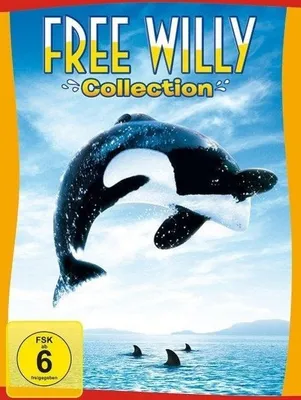 Produktbild von Free Willy 1-4 - Box Set  [4 DVDs]
