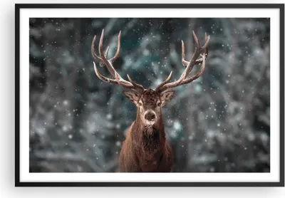 Produktbild von Gerahmtes Poster - Schwarzer Rahmen - Hirsch Hirsch Winter - 91,5x61 cm - Wand Bild - Wanddeko - Wandbilder - Kunstposter - Wandposter - Bilderrahmen - Bilder - Kunstdruck - P2BAA91x61-4998