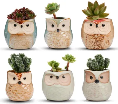 Produktbild von Keramische Töpfe Set von 6 für Kakteen und Blumen - Dekorative Blumentöpfe für Mini-Gärten und Terrarien