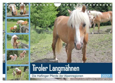 Produktbild von Tiroler Langmähnen (Wandkalender 2027 DIN A4 quer), CALVENDO Monatskalender
