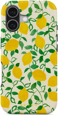 Image de Étui MagSafe pour Apple iPhone 17 - Coque arrière Burga Tough - Capri