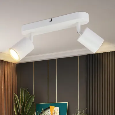 Image de ZMH LED Plafonnier Blanc 2 flammes Plafonnier Moderne GU10 Métal Spots de plafond Orientable 330° pour salon chambre couloir
