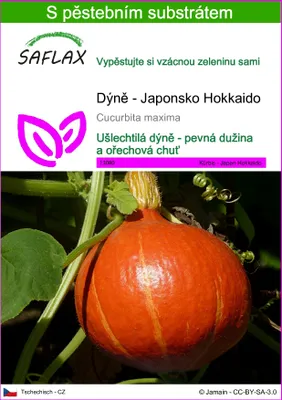Obrázek produktu pro SAFLAX - Dýně - Japonsko Hokkaido - Cucurbita maxima - 10 Semena - S pěstebním substrátem bez klíčků