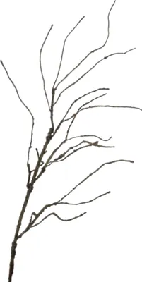 Produktbild von Kunstzweig Twig braun 110 cm